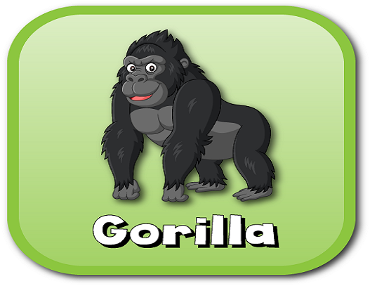 gorilla