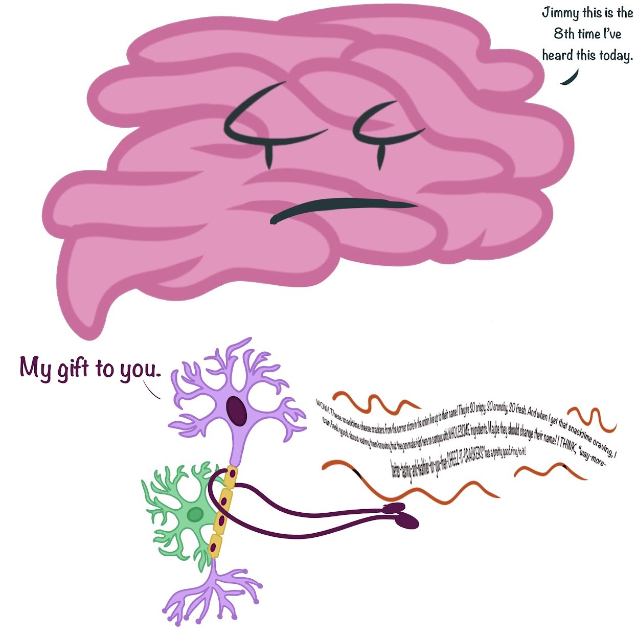 <p>This <span class="tt-bg-blue">depolarizes</span> the membranes of <span class="tt-bg-blue">mechanoreceptors</span> (hair cells) and <span class="tt-bg-blue">sends action potentials to the brain </span>via the auditory/cochlear nerve</p>