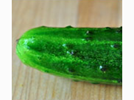 <p>pickle</p>