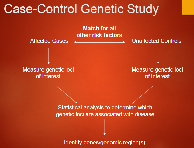 <p><strong>Affected Cases</strong>: Individuals who have the disease or condition of interest.</p><p><strong>Unaffected Controls</strong>: Individuals who do not have the disease, matched for other risk factors such as age, sex, and ancestry.</p><p><strong>Measure Genetic Loci</strong>: Both groups (cases and controls) have their genetic loci of interest measured.</p><p><strong>Statistical Analysis</strong>: Statistical methods are used to compare the genetic data of cases and controls, identifying which genetic loci are associated with the disease.</p><p><strong>Identify Genes/Genomic Regions</strong>: The analysis helps pinpoint specific genes or genomic regions that may be linked to the disease.</p>