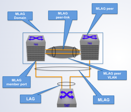 <p>A single switch within an MLAG domain</p>