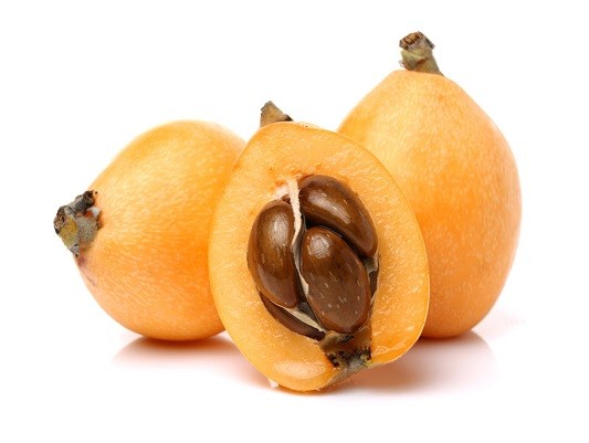 loquat