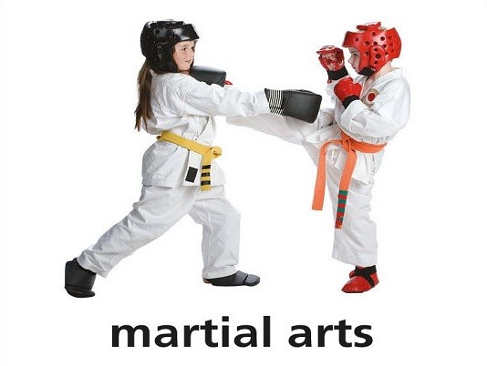 <p>martial arts</p>