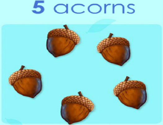 acorns five