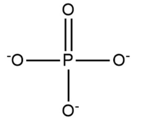 <p>Phosphate</p>