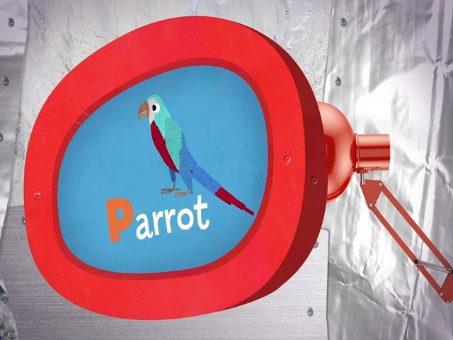 <p>parrot</p>