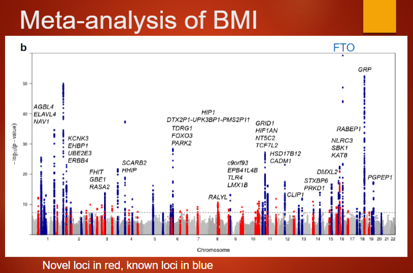 <p><strong>Study details</strong>: The meta-analysis involved ~322,000 subjects and was published by Locke et al. in 2015 (Nature 518:197–206).</p><p><strong>Number of loci</strong>: Identified 97 loci associated with BMI.</p><p><strong>Collaborators</strong>: Included 125 separate studies with over 600 authors and more than 2000 collaborators.</p><p><strong>Study scale</strong>: The study demonstrates the power of large-scale collaboration in identifying genetic factors associated with complex traits like BMI.</p>