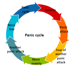 <p><strong>Anxiety</strong></p><p><strong>Panic attack</strong></p><p><strong>Fear of another panic attack</strong></p><p><strong>More anxiety</strong> leading to <strong>another panic attack</strong>, and so on, continuing the cycle.</p>