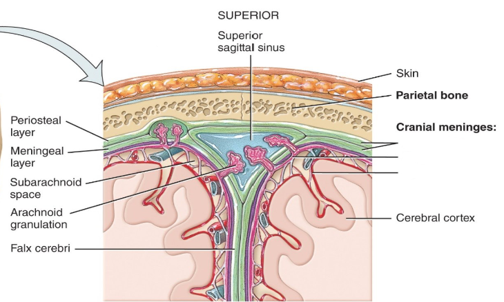 <p>Label the diagram.</p>