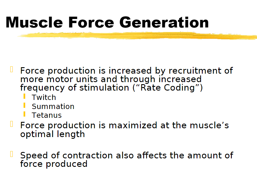 <p>muscle twitch</p><p>summation</p><p>tetanus </p>