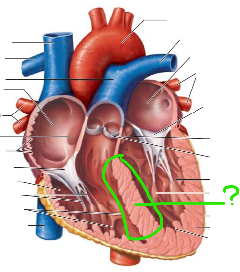 <p>name the internal structure </p>