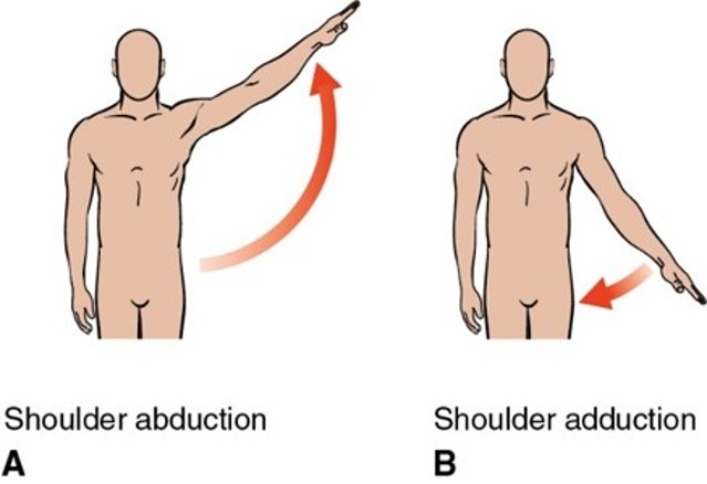 <p>What plane and axis does adduction/abduction occur?</p>