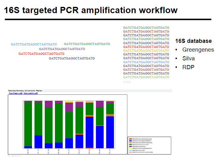 <p><strong>Sample collection</strong>: Collect biological/environmental samples.</p><p><strong>DNA extraction</strong>: Isolate DNA from the samples.</p><p><strong>16S PCR amplification</strong>: Amplify the 16S rRNA gene.</p><p><strong>Sequencing</strong>: Sequence the amplified DNA.</p><p><strong>Analysis</strong>: Analyze sequences to identify bacterial species and community composition.</p>