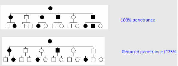 <p>Some individuals have the mutation but do not have the disease</p><p>Many dominant disorders show age-dependent penetrance</p>