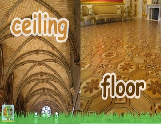 <p>ceiling and floor</p>