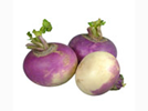 <p>turnips</p>