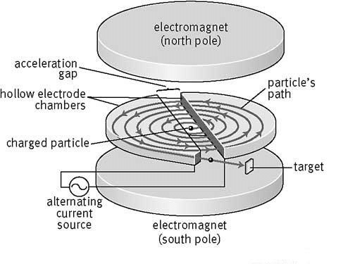 <p>A cyclotron is made up of 2 semicircular electrodes called ‘Dees’ with a magnetic field applied perpendicular to the Dees and an alternating potential difference applied between the Dees</p><p></p><p>Each Dee is a metal electrodes with opposite charges, this creates an electric field in the gap between the two Dees. This is what accelerates the particles.</p><p></p><p>The magnetic field causes the particles to move in a circular motion, which allows it to gain speed whilst minimising space. As they speed up the radius of their motion increases, until it breaks free tangential to one of the Dees.</p>