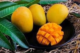 <p>mango</p>