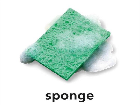 <p>sponge</p>