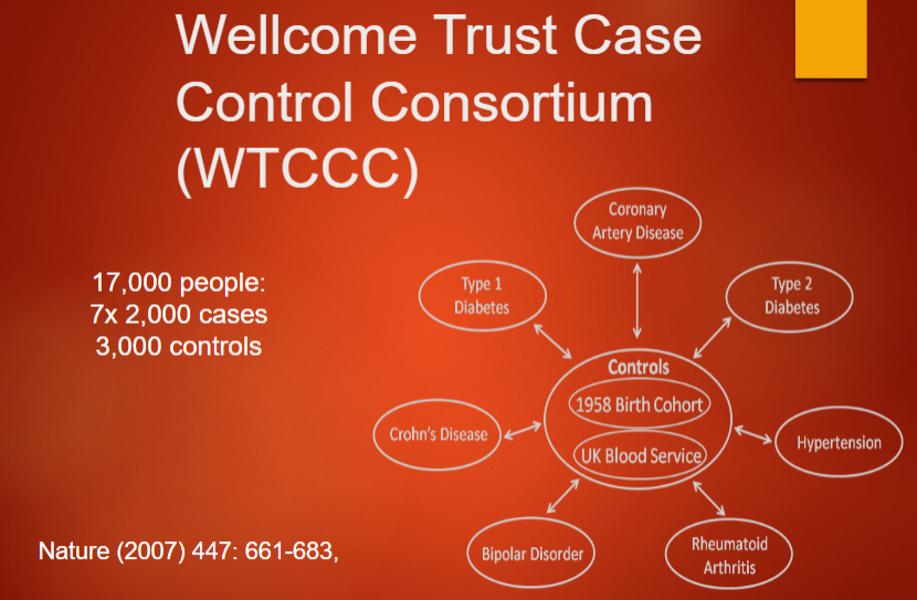 <p>The <strong>WTCCC</strong> is a major <strong>genetic association study</strong> involving multiple diseases.</p><p>It includes large datasets of <strong>cases and controls</strong> from different populations.</p><p>It was designed to identify <strong>genetic variants</strong> associated with diseases like <strong>diabetes, schizophrenia, and coronary artery disease</strong>.</p>