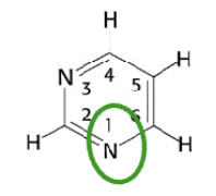 <p>Welk molecuul?</p>