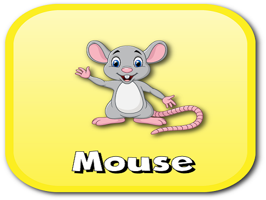 mouse