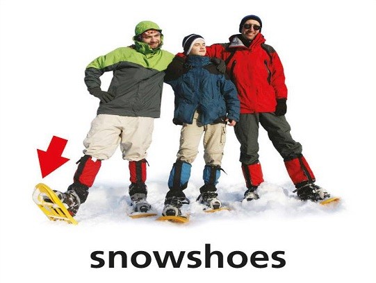 <p>snowshoes</p>