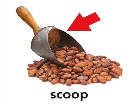 <p>scoop</p>