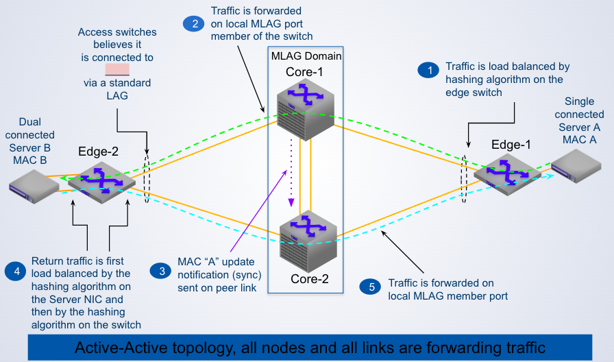 <p>Switch Edge-2 believes it is connected to a <span class="tt-bg-red">__</span> via a standard LAG</p>