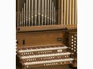 <p>organ</p>