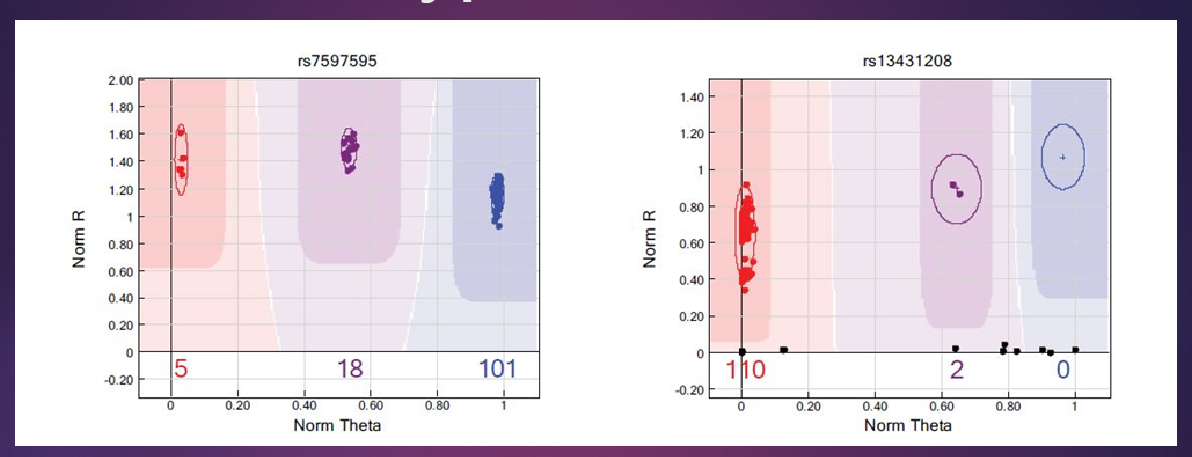 <p>Software translates the three different color signals from each probe into corresponding genotypes.</p><p>A limited number of SNPs (fewer than 50) are typically reviewed manually to ensure accuracy.</p><p>The majority of SNPs are processed automatically by the software, streamlining the genotyping process.</p>