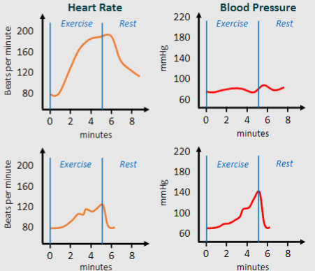 <p>♡ Static exercise raises blood pressure more due to local metabolic hyperaemia</p><p>♡ During static exercise, the specific muscle group being worked experiences increased metabolic activity, leading to localized vasodilation and higher blood pressure</p>
