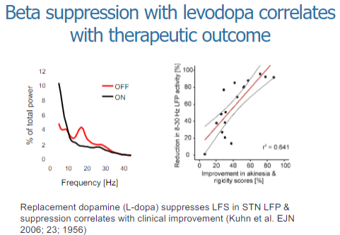 <p>Beta suppression with levodopa is associated with improvements in motor symptoms in Parkinson's disease.</p><p>The degree of beta suppression correlates with the therapeutic outcome, meaning greater suppression of beta oscillations leads to better motor control and symptom relief.</p>