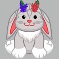 <p>pixie bunny</p>