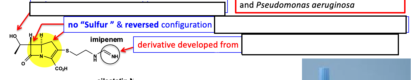 <p>This is the structure of <strong><span class="tt-bg-red">Imipenem</span></strong>. </p><p>a) What is the structure the first arrow points to responsible for?</p><p>b) How does this lack of sulfur &amp; reversed configuration assist this drug molecule?</p><p>c) Which species is this developed from? </p>