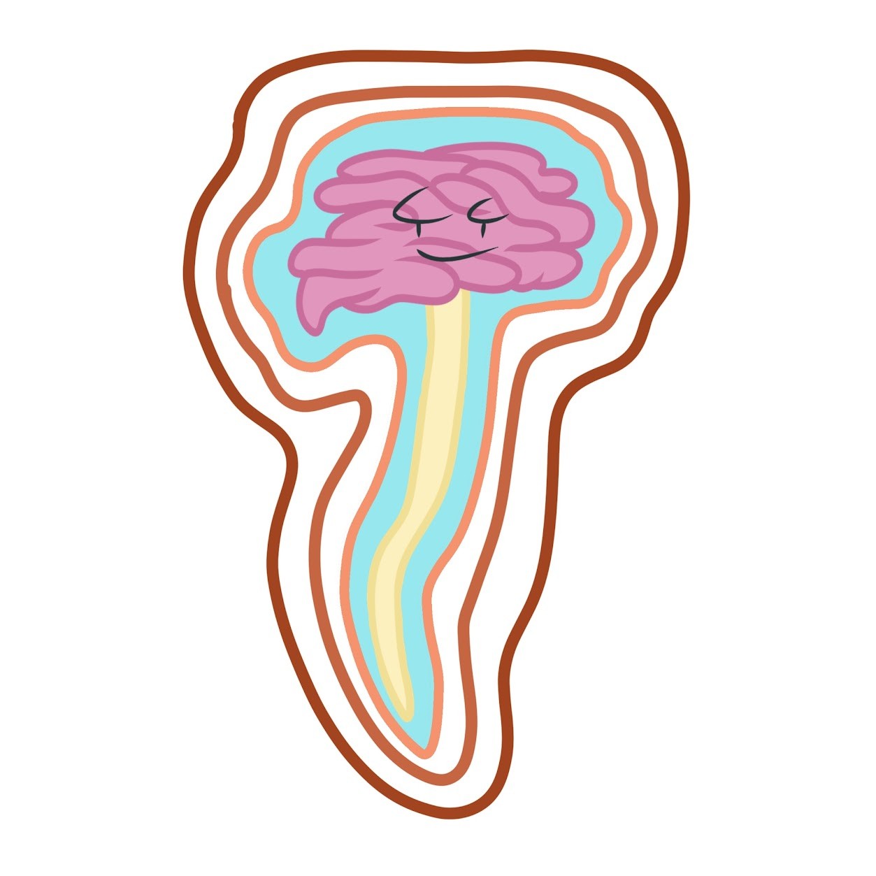 <p>-<span class="tt-bg-green">Filtered</span> from arterial blood</p><p>-<span class="tt-bg-green">Cushions</span> the brain and spinal cord</p><p>-Provides <span class="tt-bg-green">nutrients</span></p><p>-<span class="tt-bg-green">Removes wastes</span> by draining into veins</p>