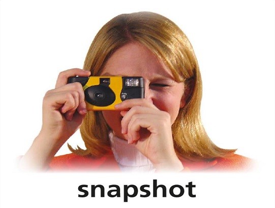 <p>snapshot</p>