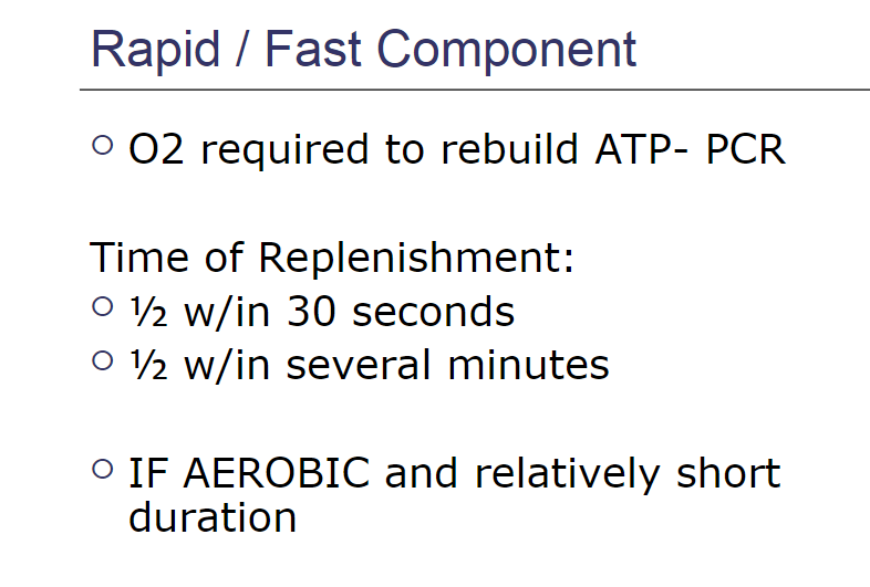 <p>Fast component</p>