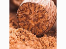 <p>nutmeg</p>