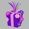 <p>plumfadoodle gift box</p>