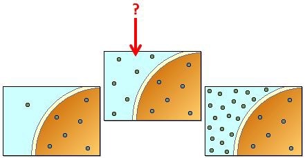 The cell in the picture is sitting in what type of tonic solution?