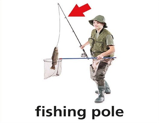 <p>fishing pole</p>