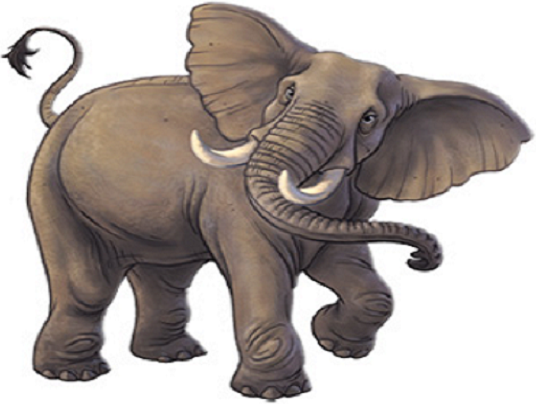 elephant one