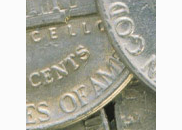 <p>nickels</p>