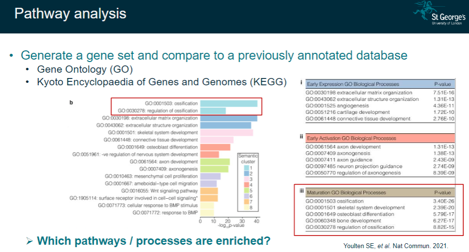 <p>Generate a gene set and compare it to a previously annotated database.</p><p>Use resources such as Gene Ontology (GO) or Kyoto Encyclopaedia of Genes and Genomes (KEGG).</p><p>Identify which pathways or processes are enriched based on the gene set.</p>