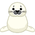 <p>sparkle harp seal</p>