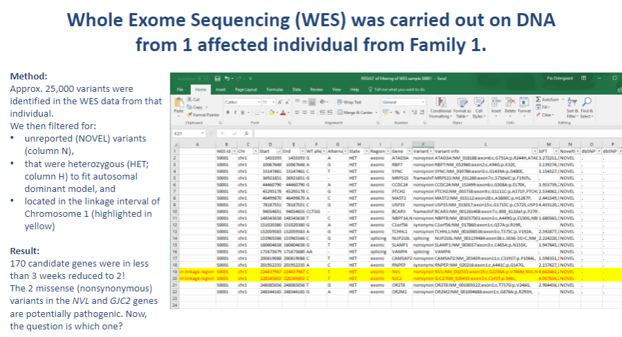 <p>Picture demonstrating Whole Exome Sequencing (WES) was carried out on DNA from 1 affected individual from Family 1:</p>