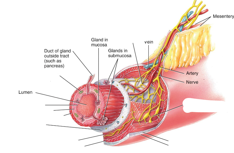 <p>Label this diagram </p>