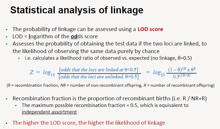 <p>A LOD score (logarithm of the odds score) is used to evaluate the likelihood that two loci are linked.</p><p>It compares the probability of the observed data if the loci are linked to the probability of the data if there is no linkage (independent assortment, θ = 0.5).</p><p>The LOD score is calculated as the logarithm of the likelihood ratio: observed data under linkage vs. expected data under no linkage.</p><p>The recombination fraction (θ) represents the proportion of recombinant offspring, calculated as θ=RNR+R\theta = \frac{R}{NR + R}θ=NR+RR​, where R = recombinants and NR = non-recombinants.</p><p>When θ = 0.5, it indicates independent assortment (maximum recombination). Lower θ values suggest tighter linkage.</p><p>A higher LOD score indicates stronger evidence for linkage, typically considered significant if it exceeds 3.</p>