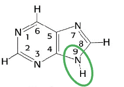 <p>Welk molecuul?</p>